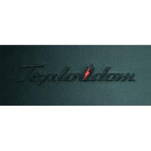 Электрический котел Teplodom i-TRM SILVER StS 12 кВт в Молодечно