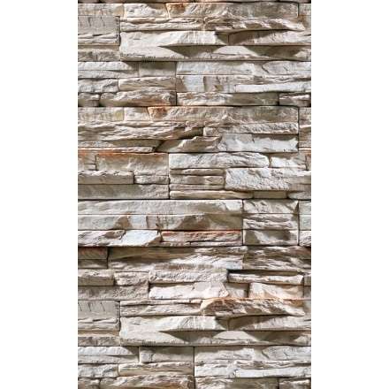 Фиброцементная плита Фаспан Дикий камень №1007 Вертикаль (1200х800х8 мм) купить в Молодечно