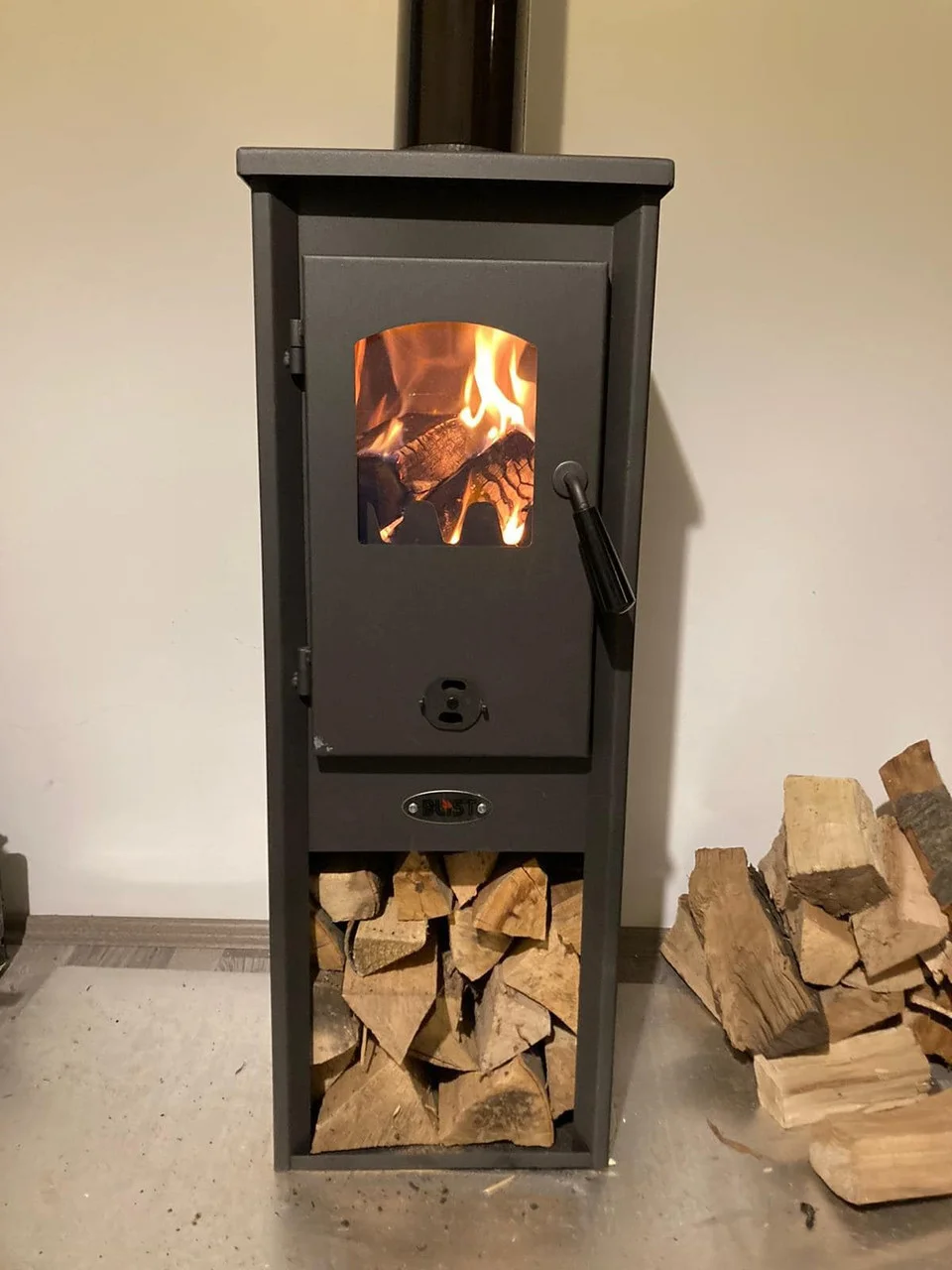 Печь-камин Blist Ekonomik Lux LM N стальная дверца Амазонка бай фото в Молодечно