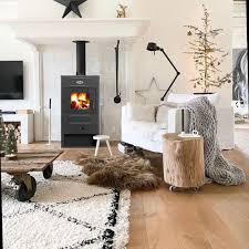 Печь-камин Blist B 2 Амазонка бай фото в Молодечно