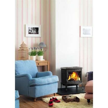 Чугунная печь камин Jotul F100 BP в Молодечно