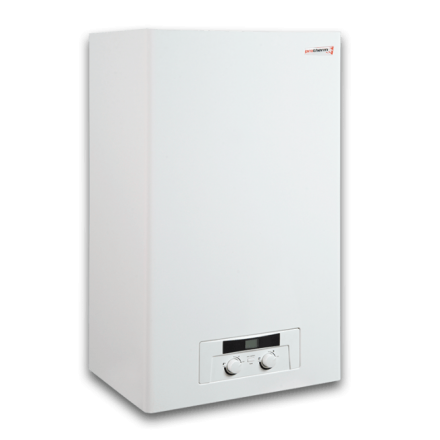 Газовый котел Protherm Рысь 24 Lynx HK 24 в Молодечно