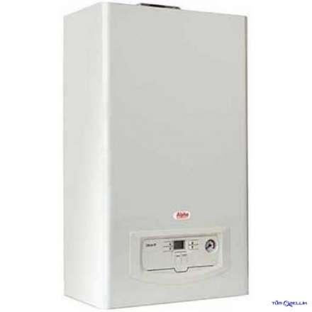 Газовый котёл Immergas BellaGas CB-24-TF в Молодечно
