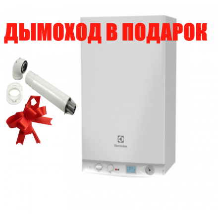 Газовый котел Electrolux GCB 24 Basic Space Duo Fi в Молодечно