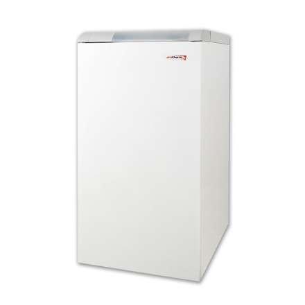 Газовый котел Protherm Медведь 30 KLOM в Молодечно
