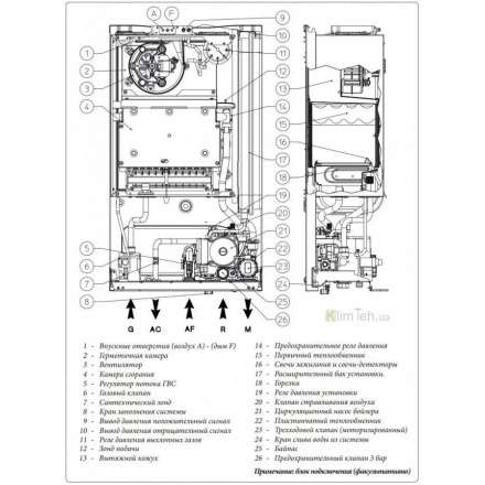 Газовый котел Immergas EOLO Mini 24 3E в Молодечно