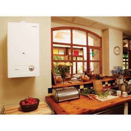 Газовый котел Protherm Тигр 24 KTZ в Молодечно