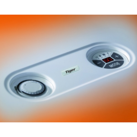 Газовый котел Protherm Тигр 24 KTZ в Молодечно