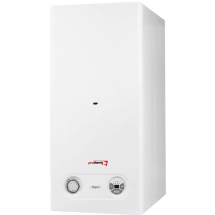 Газовый котел Protherm Тигр 24 KTZ в Молодечно