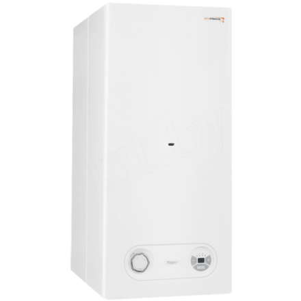 Газовый котел Protherm Тигр 24 KTZ в Молодечно