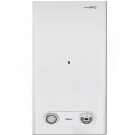 Газовый котел Protherm Тигр 24 KTZ в Молодечно