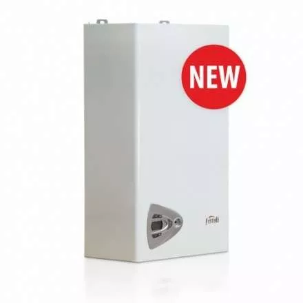 Газовый котёл Ferroli Vitabel C24 в Молодечно